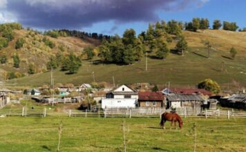 Жер дауын болдырмаудың жолын ұсынды